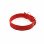 Nylon halsband - Rood