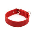 Nylon Hondenhalsband - Rood