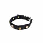 Nylon Puppy halsbanden
