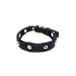 Nylon Puppy halsbanden